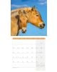 Стенен календар Ackermann Horses 2026 – Коне - Ackermann - Ackermann - Жена, Мъж - Ackermann - Art12 - 9783838446219-3-thumb