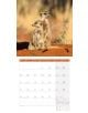 Стенен календар Ackermann Meerkats 2026 – Сурикати - Ackermann - Ackermann - Жена, Мъж - Ackermann - Art12 - 9783838446325-11-thumb