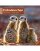Стенен календар Ackermann Meerkats 2026 – Сурикати - Ackermann - Ackermann - Жена, Мъж - Ackermann - Art12 - 9783838446325-1-thumb