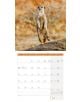 Стенен календар Ackermann Meerkats 2026 – Сурикати - Ackermann - Ackermann - Жена, Мъж - Ackermann - Art12 - 9783838446325-5-thumb
