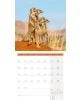 Стенен календар Ackermann Meerkats 2026 – Сурикати - Ackermann - Ackermann - Жена, Мъж - Ackermann - Art12 - 9783838446325-7-thumb
