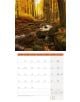 Страницата от септември 2026 г. на Стенен календар Ackermann Mystic Forest 2026 - Мистична гора показва вертикален изглед на есенна гора със златни листа, покриващи дърветата и земята край скалист поток, а слънчевата светлина се процежда през дърветата.-10-thumb