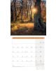 Слънчев лъч преминава през есенните дървета в Ackermann Mystic Forest, осветявайки златистите листа и трева. Показано по-долу: Стенен календар Ackermann Mystic Forest 2026 - Мистична гора, с дати и място за бележки.-12-thumb