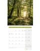 Страницата за април 2026 г. в Стенен календар Ackermann Mystic Forest 2026 - Мистична гора показва слънчева гора, вертикален календар с дати и малки прегледи на март и май. Идеален стенен календар 2026 г.-5-thumb