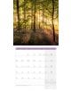 Страницата за юли 2026 г. на стенен календар Ackermann Mystic Forest 2026 - Мистична гора показва слънчева светлина, която се процежда през зелени дървета и лилави цветя, а под живописното изображение има спретната календарна мрежа.-8-thumb
