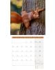 Стенен календар Ackermann Squirrels 2026 – Катерици - Ackermann - Ackermann - Жена, Мъж - Ackermann - Art12 - 9783838446318-11-thumb