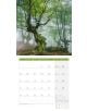 Стенен календар Ackermann Trees 2026 – Дървета - Ackermann - Ackermann - Жена, Мъж - Ackermann - Art12 - 9783838446127-11-thumb