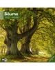 Стенен календар Ackermann Trees 2026 – Дървета - Ackermann - Ackermann - Жена, Мъж - Ackermann - Art12 - 9783838446127-1-thumb