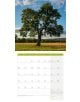 Стенен календар Ackermann Trees 2026 – Дървета - Ackermann - Ackermann - Жена, Мъж - Ackermann - Art12 - 9783838446127-8-thumb