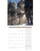 Стенен календар Ackermann Trees 2026 – Дървета - Ackermann - Ackermann - Жена, Мъж - Ackermann - Art12 - 9783838446127-2-thumb