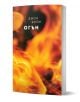 Книга със заглавие "Стихиите, книга 3: Огън" е с ярко оранжеви и жълти пламъци на корицата. Заглавието е на руски език, а над него е изписано името на автора - Джон Бойн (John Boyne).-1-thumb