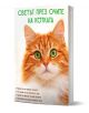 Корицата на книгата "Светът през очите на котката" показва в близък план оранжево-бяла котка със зелени очи, заглавието горе и въпроси за котешка психология и обучение на котки в долния десен ъгъл.-1-thumb
