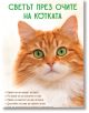 Близък план на оранжево-бяла пухкава котка със зелени очи, която гледа напред. Над главата ѝ е изписано заглавието "Светът през очите на котката", а отдолу са изписани точки на български език за котките и котешката психология от тяхната гледна точка.-2-thumb