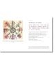 Tao Te Ching - Lao Tzu - Жена, Мъж - Amber Books Ltd - 9781838863623-2-thumb
