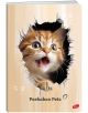 Тетрадка Elisa Peekaboo Pets А4, 60 листа - широки редове - Elisa - Elisa - Момиче, Момче - 3830082020750-3-thumb