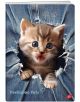 Тетрадка Elisa Peekaboo Pets А5, 60 листа - широки редове - Elisa - Elisa - Момиче, Момче - 3830082020811-5-thumb