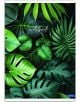 Тетрадка Lastva Botanical А4, 50 листа с широки редове - Lastva - Lastva - Момиче - 8606028383808-1-thumb