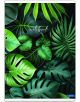 Тетрадка Lastva Botanical А5, 50 листа с широки редове - Lastva - Lastva - Момиче - 8606028383822-2-thumb