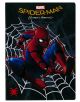 Тетрадка Spider-Man А5, 24 листа - малки квадратчета - Spree - Spree - Момче - Spider-Man - 3800884525401-4-thumb