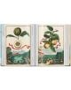 Отворена книга, J. C. Volkamer: Volkamer: "Книга за цитрусовите плодове", 45-о издание, показва старинно ботаническо изкуство - плодове и панделка над градина на лявата страница; лимони с панделка над двор вдясно - възхвала на красотата на цитрусовите пло-3-thumb