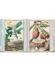 Отворена книга, "Книга за цитрусовите плодове", 45-о издание от J. C. Volkamer; на лявата страница е изобразено картофено растение и селска сцена, а на дясната страница - патладжани с европейски град, всичко това в яркия стил на "Нюрнбергските хеспериди".-4-thumb
