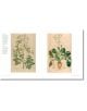 The Botanists' Library - Carolyn Fry - Жена, Мъж - Quarto Publishing PLC - 9780711294943-4-thumb