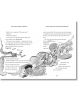 The World`s Worst Children 2 - Дейвид Уолямс - Момиче, Момче - HarperCollins Publishers - 9780008621889-3-thumb