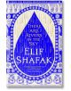 There are Rivers in the Sky - Elif Shafak - Жена, Мъж - Penguin Books Ltd - 9780241435021-thumb