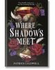 Where Shadows Meet - Patrice Caldwell - Момиче - Bonnier Books - 9781471411861-thumb