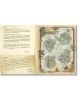 World of Warcraft Exploring Azeroth - Islands and Isles - Alex Acks - Жена, Мъж - Titan Books Ltd - 9781803368610-2-thumb