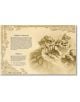 World of Warcraft Exploring Azeroth - Islands and Isles - Alex Acks - Жена, Мъж - Titan Books Ltd - 9781803368610-4-thumb