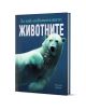 На корицата на За най-любознателните: Животните е изобразена плуваща бяла мечка. Тази илюстрована енциклопедия за диви животни от Клаудия Мартин (Клаудия Мартин) е предназначена за любознателни читатели, които се интересуват от животни.-1-thumb