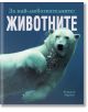 Бяла мечка плува под водата на корицата на За най-любознателните: Животните - красиво илюстрирана енциклопедия за дивите животни и природата, идеална за любознателни читатели.-2-thumb
