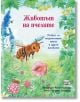 Корицата на "Животът на пчелите" показва пчела, която лети сред цветя и трева, с ярки илюстрации и български текст - идеална детска книга за пчели. Допълнителният текст и имената на авторите са показани по-долу.-thumb
