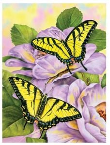 Комплект за лесно рисуване с акрилни бои Royal - Пеперуди, 22 х 30 см.