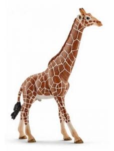 Фигурка Schleich: Жираф мрежест, мъжки