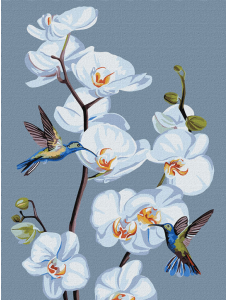 Комплект за лесно рисуване с акрилни бои Ideyka - Орхидеи, 30 х 40 см.