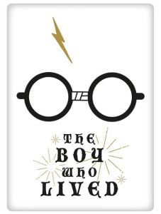 Магнит Harry Potter - The Boy Who Lived