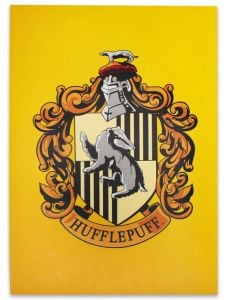 Тетрадка Harry Potter - Hufflepuff