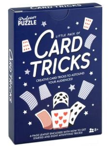 Игра Professor Puzzle: Card Tricks