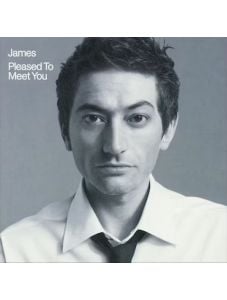 James - Pleased to Meet You (2 VINYL)