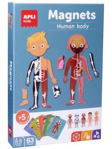 Детска магнитна игра Apli Kids - Човешкото тяло