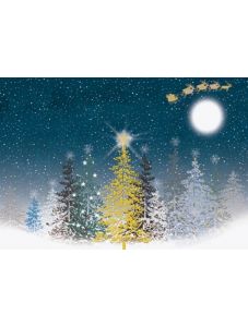 Коледна картичка "Снежна нощ"