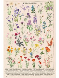 Голям плакат Botanical Wild Flowers