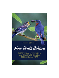 How Birds Behave
