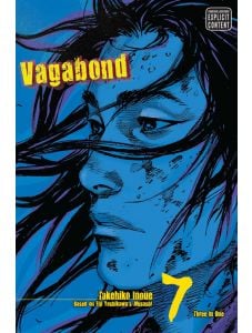 Vagabond, Vol. 7