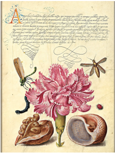 Тефтер Paperblanks - Pink Carnation, мека корица, 17 х 22.5 см.