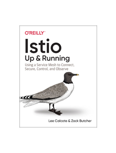 Istio: Up and Running