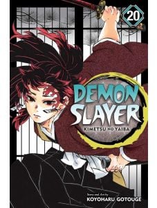 Demon Slayer Kimetsu no Yaiba, Vol. 20
