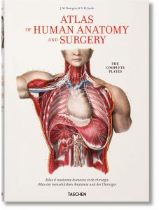 Bourgery, Atlas Anatom.